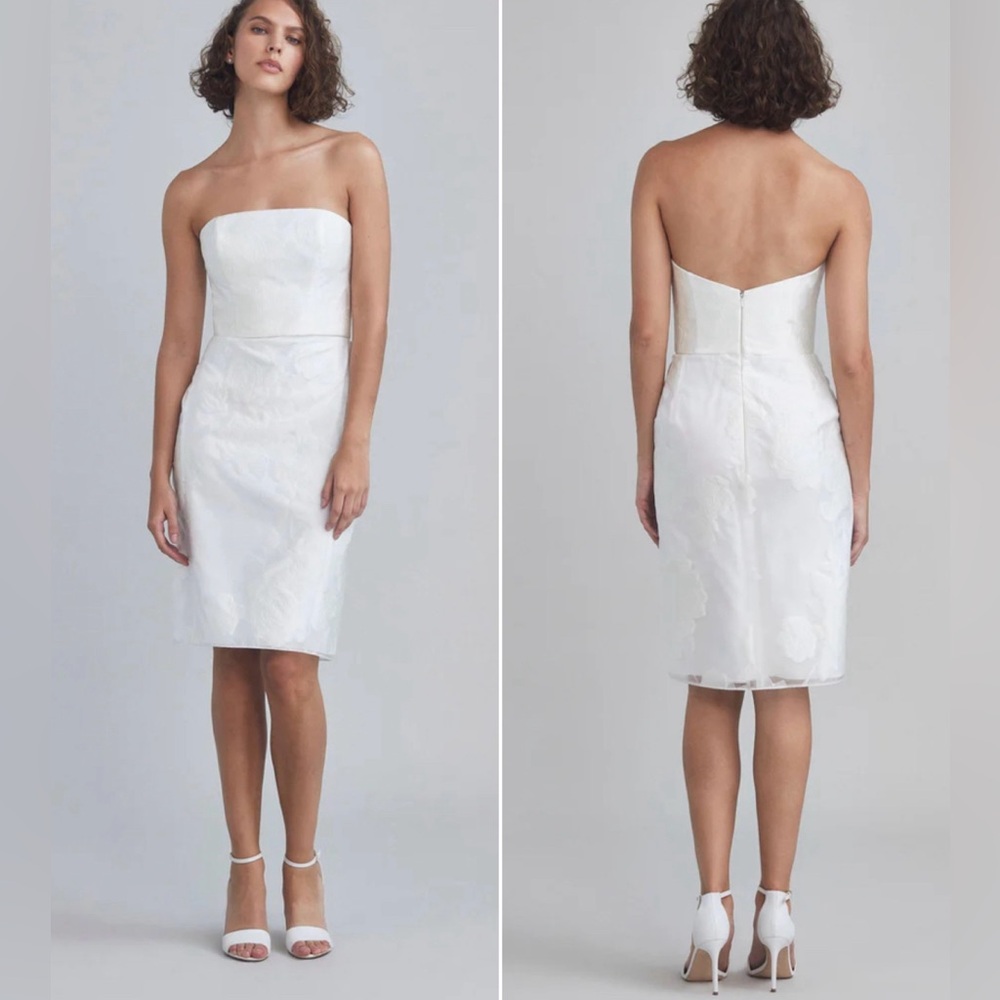 NEW Amsale Strapless Rose Fil-Coupé Floral Dress – Size 10